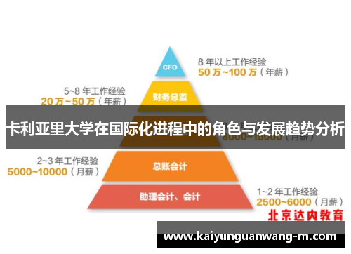 卡利亚里大学在国际化进程中的角色与发展趋势分析