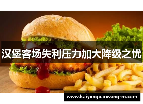 汉堡客场失利压力加大降级之忧