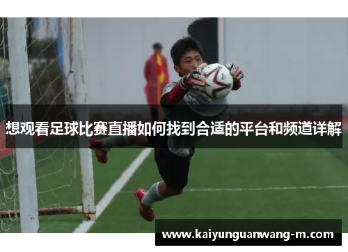 想观看足球比赛直播如何找到合适的平台和频道详解