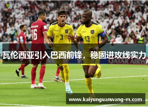 瓦伦西亚引入巴西前锋，稳固进攻线实力